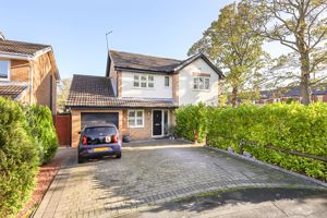 Photo 18- click for photo gallery